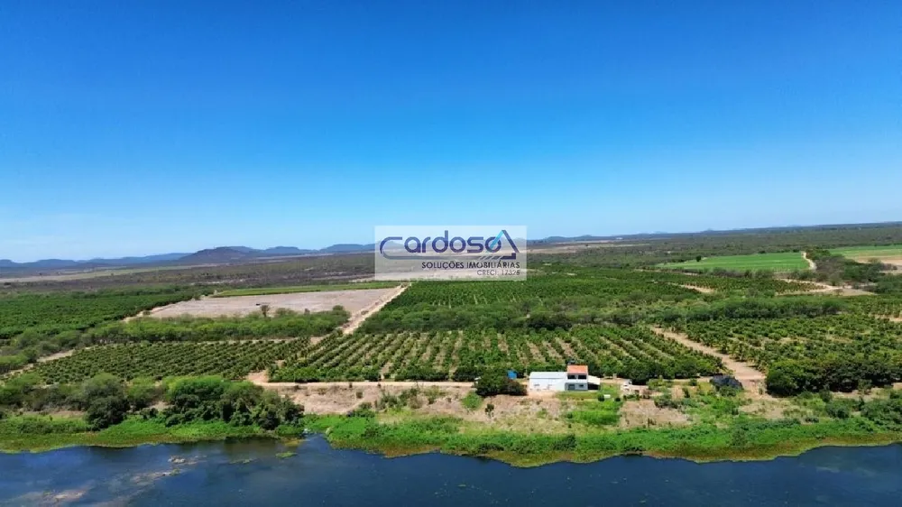 Fazenda - Foto 3