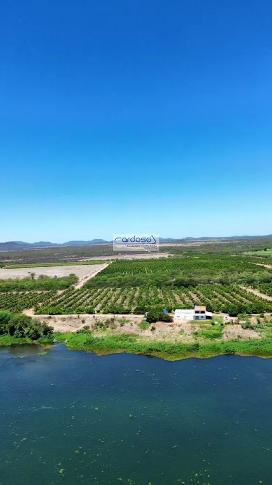 Fazenda - Foto 4