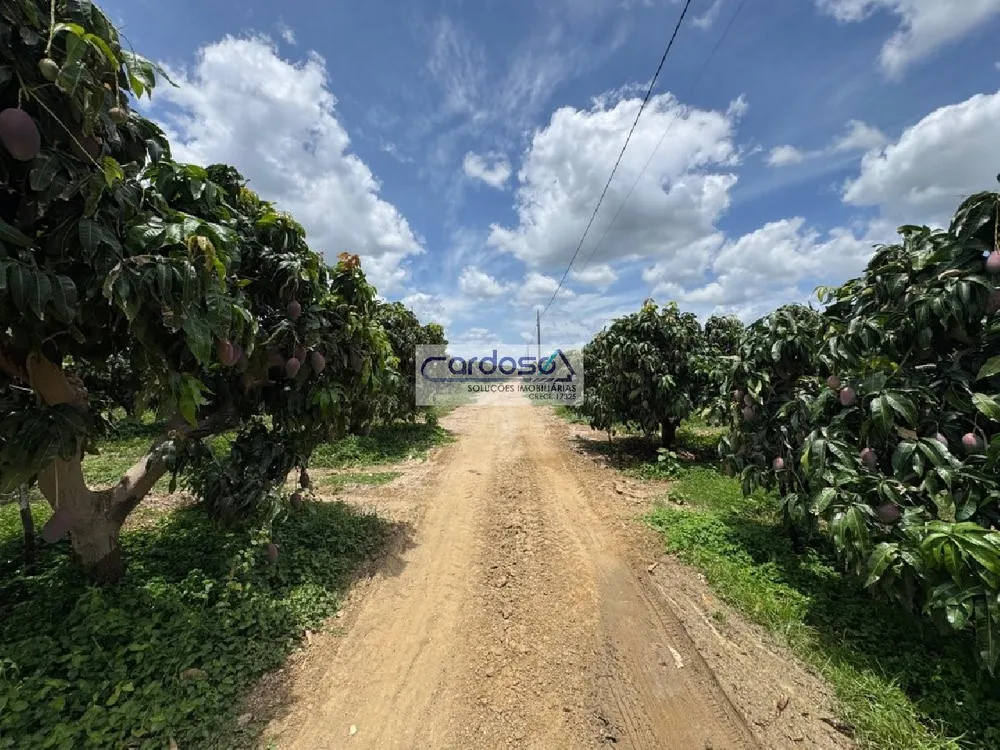 Fazenda - Foto 4