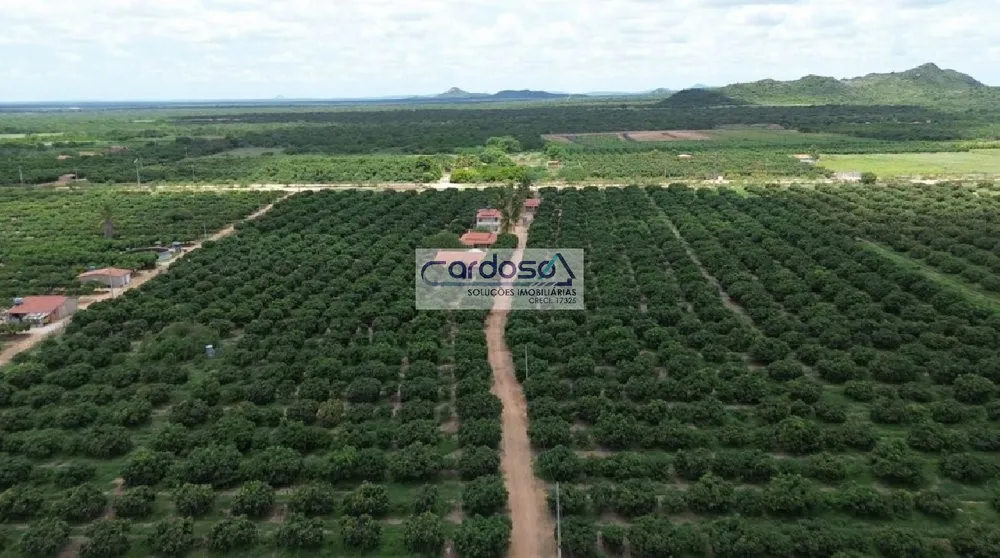 Fazenda - Foto 2