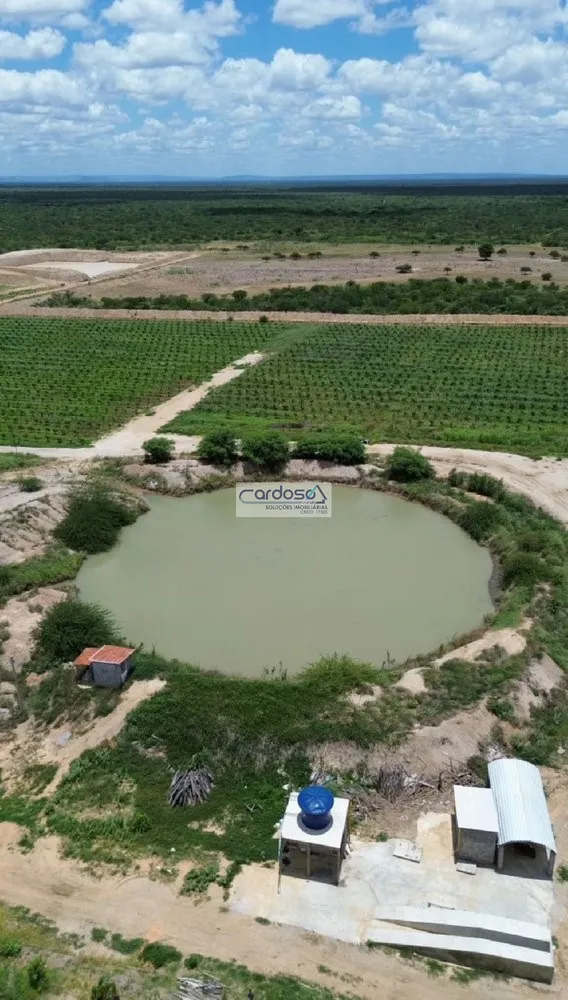 Fazenda - Foto 7