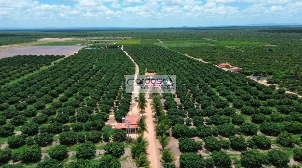 Fazenda - Foto 1