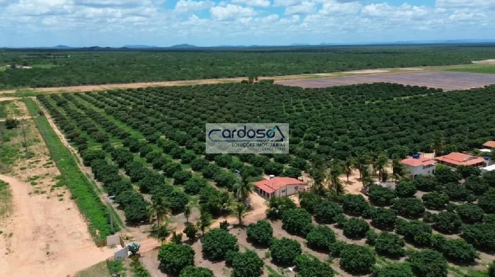 Fazenda - Foto 3