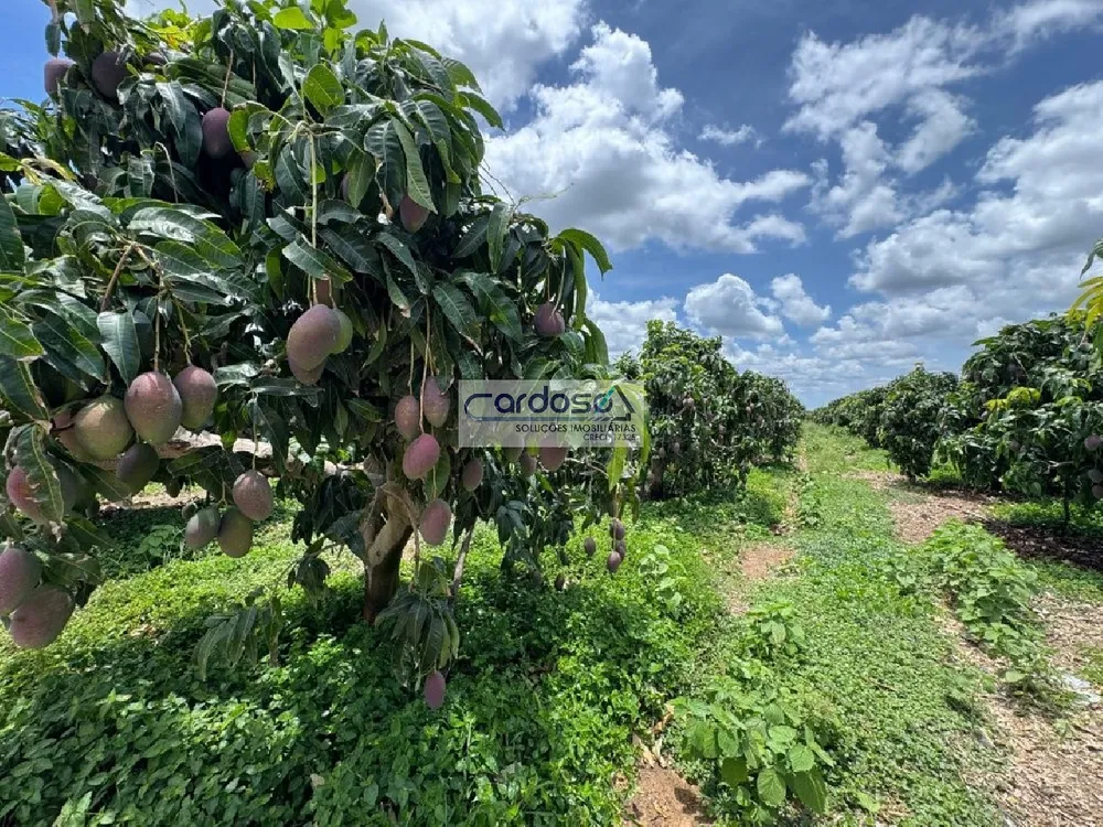Fazenda - Foto 5