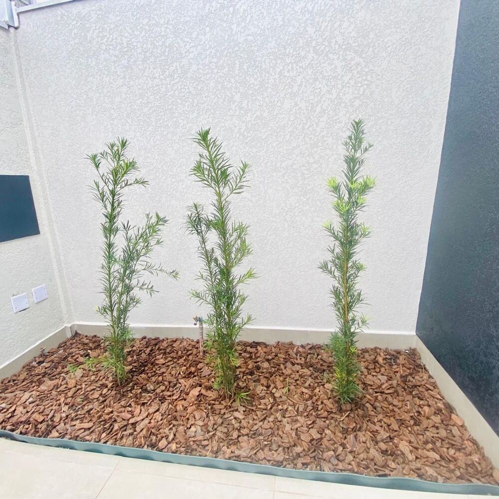 Casa, 3 quartos, 83 m² - Foto 3