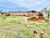Terreno, 463 m² - Foto 4