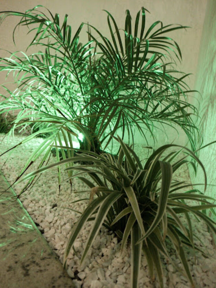 Casa, 3 quartos, 105 m² - Foto 20