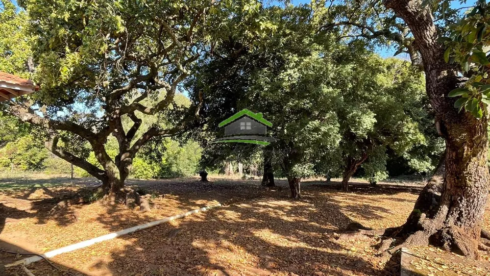 Fazenda à venda com 3 quartos, 484000m² - Foto 10