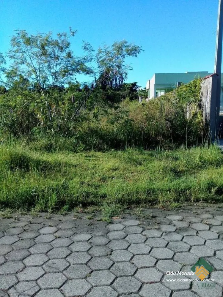 Apartamento, 3 quartos, 60 m² - Foto 2