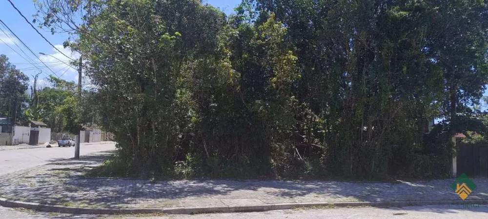 Terreno - Foto 4