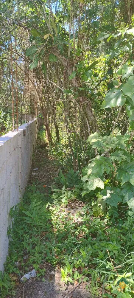 Terreno - Foto 2