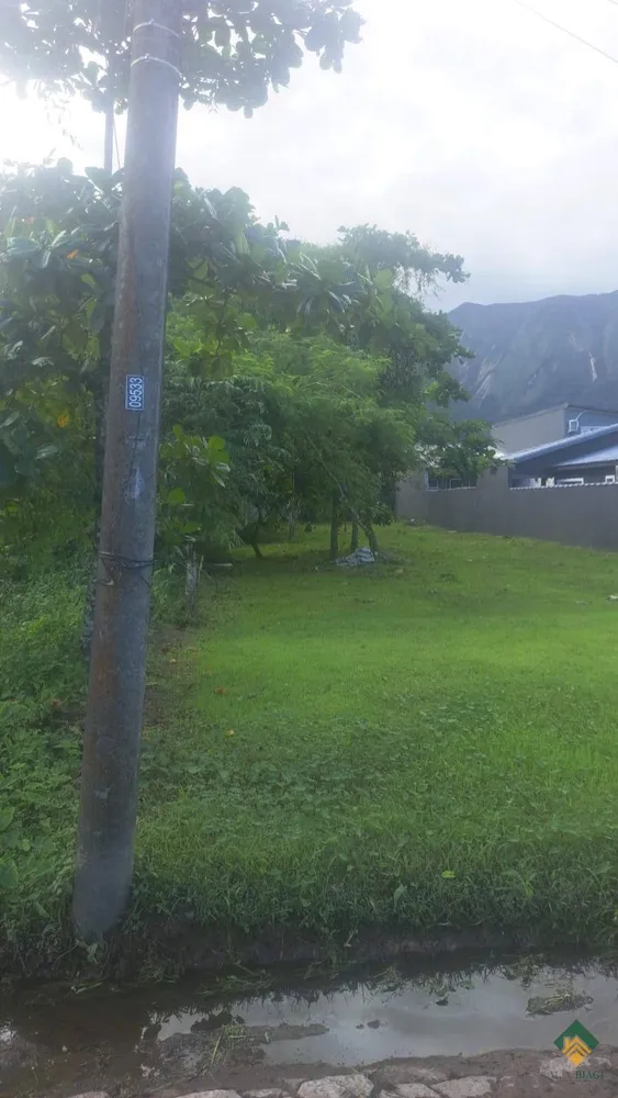 Terreno - Foto 2