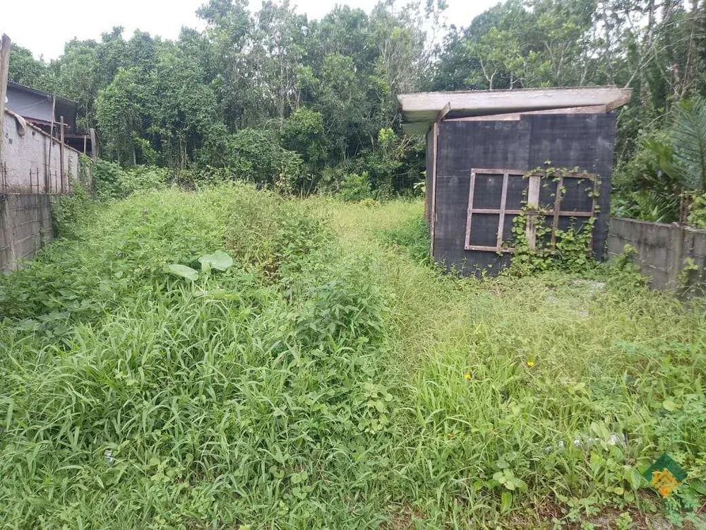 Terreno - Foto 1