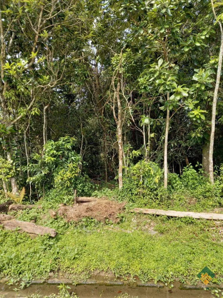 Terreno, 504 m² - Foto 1
