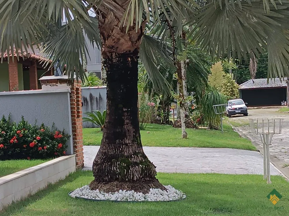 Casa, 4 quartos, 320 m² - Foto 5