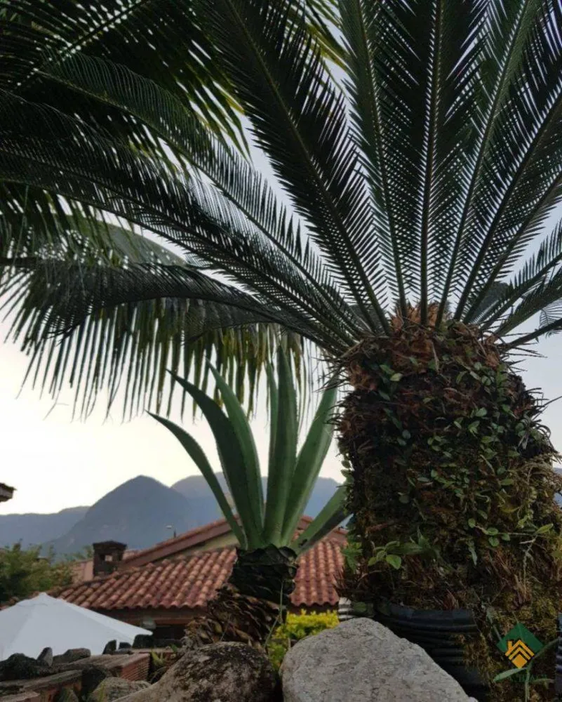 Casa, 3 quartos, 504 m² - Foto 7
