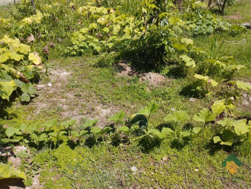 Terreno, 504 m² - Foto 3