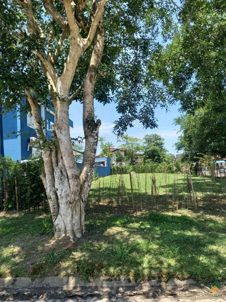 Terreno, 570 m² - Foto 3