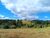 Terreno, 2 hectares - Foto 4