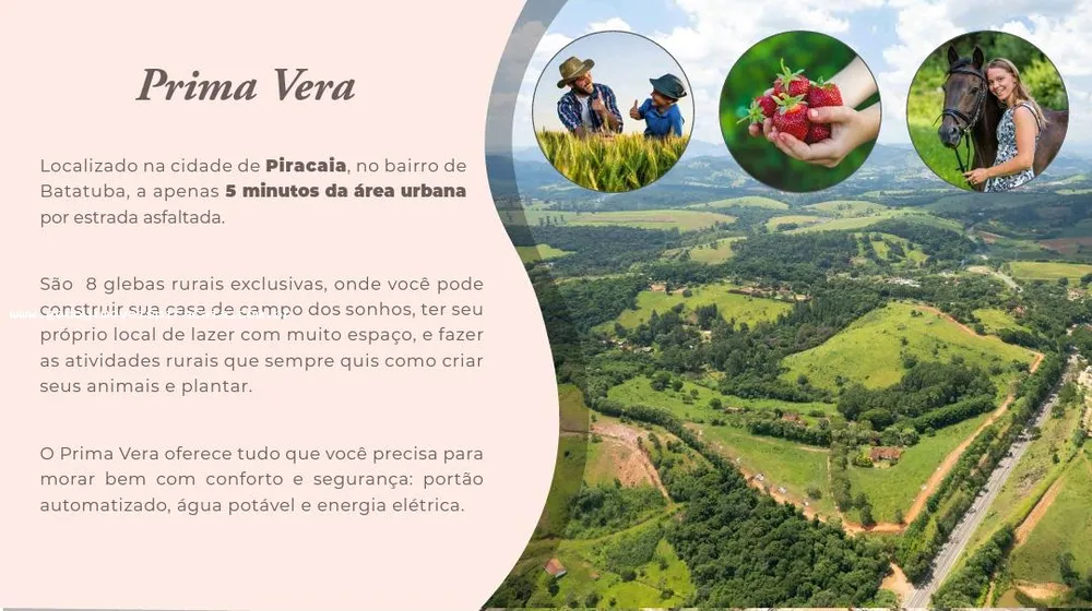 Chácara, 2 hectares - Foto 4