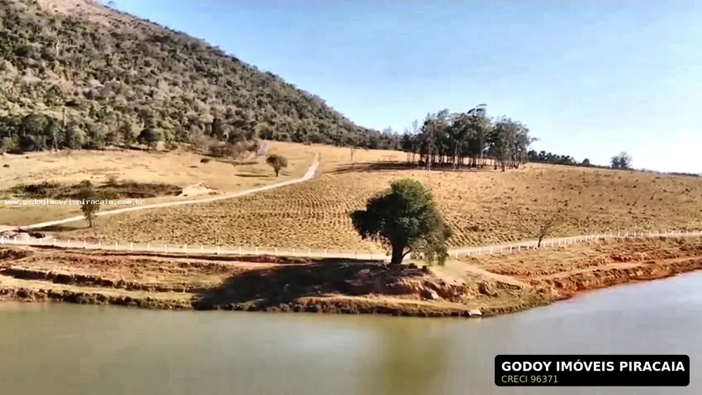 Fazenda, 123 hectares - Foto 8