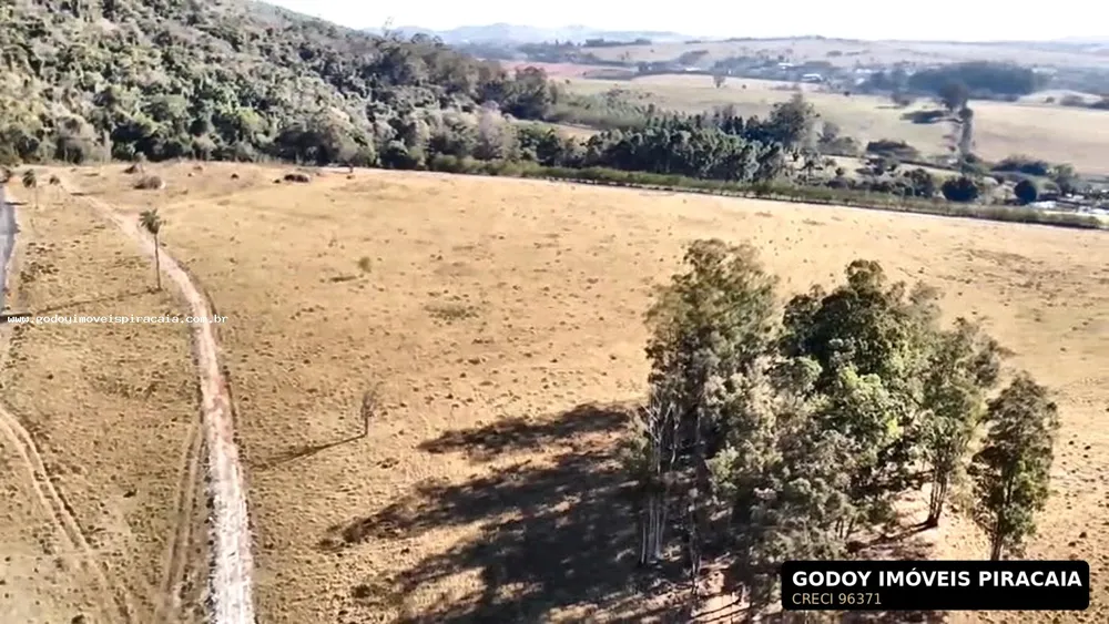 Fazenda, 123 hectares - Foto 2