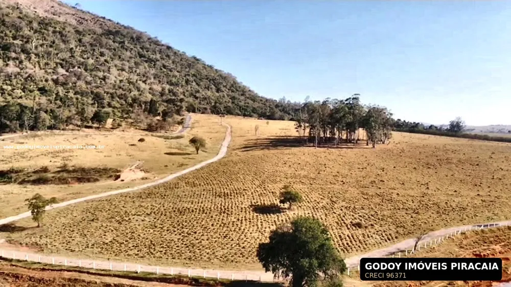 Fazenda, 123 hectares - Foto 7