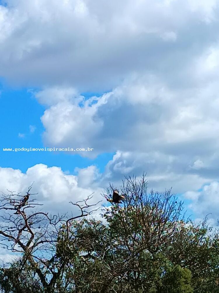 Terreno, 2 hectares - Foto 8