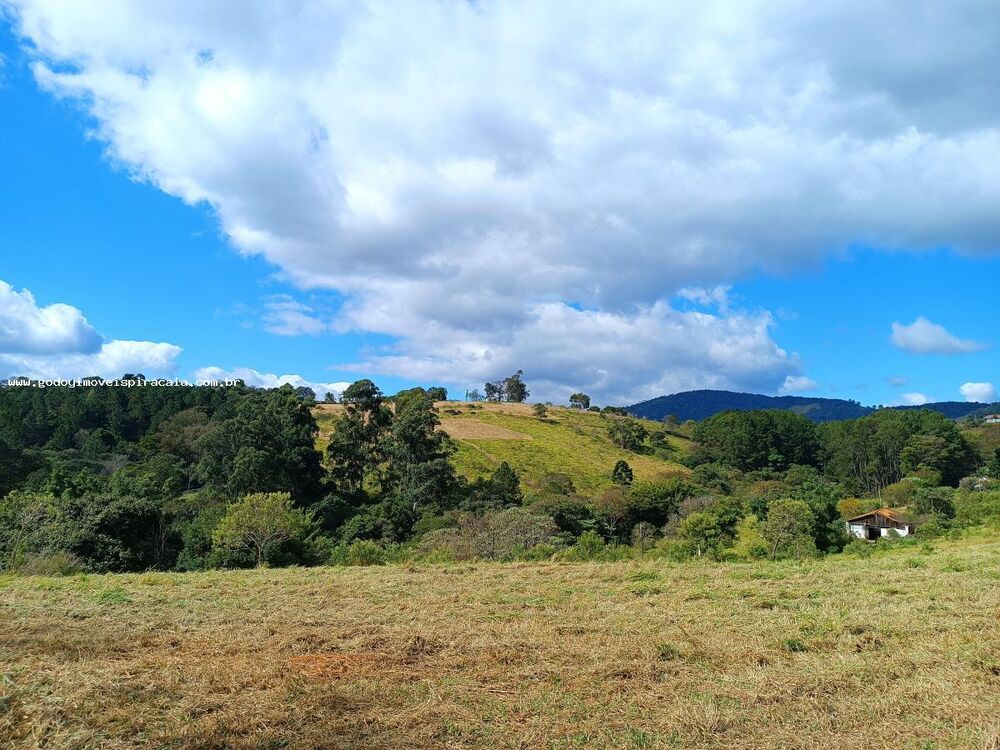 Terreno, 2 hectares - Foto 10