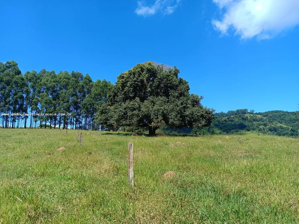 Chácara, 4 quartos, 4 hectares - Foto 4