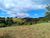 Terreno, 2 hectares - Foto 5
