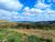 Terreno, 2 hectares - Foto 7