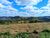 Terreno, 2 hectares - Foto 10