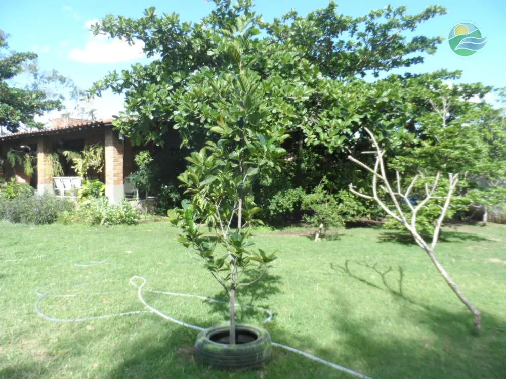Chácara, 6 quartos - Foto 4