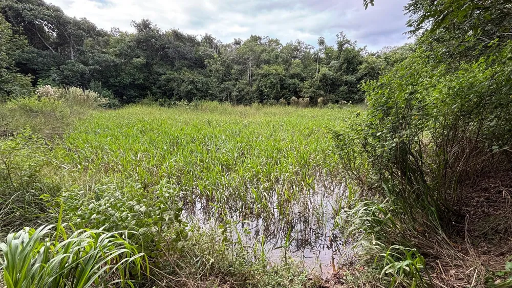 Fazenda, 5 m² - Foto 1