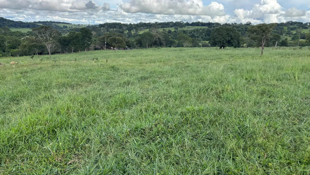 Fazenda, 5 m² - Foto 2