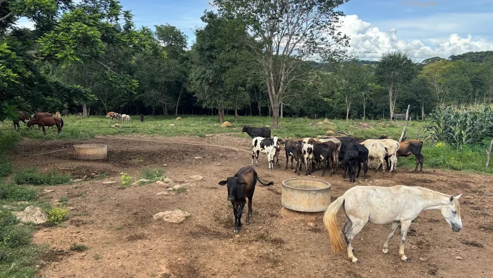 Fazenda, 5 m² - Foto 12
