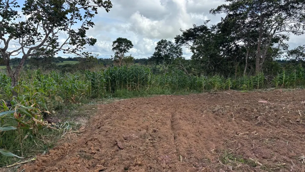Fazenda, 5 m² - Foto 4