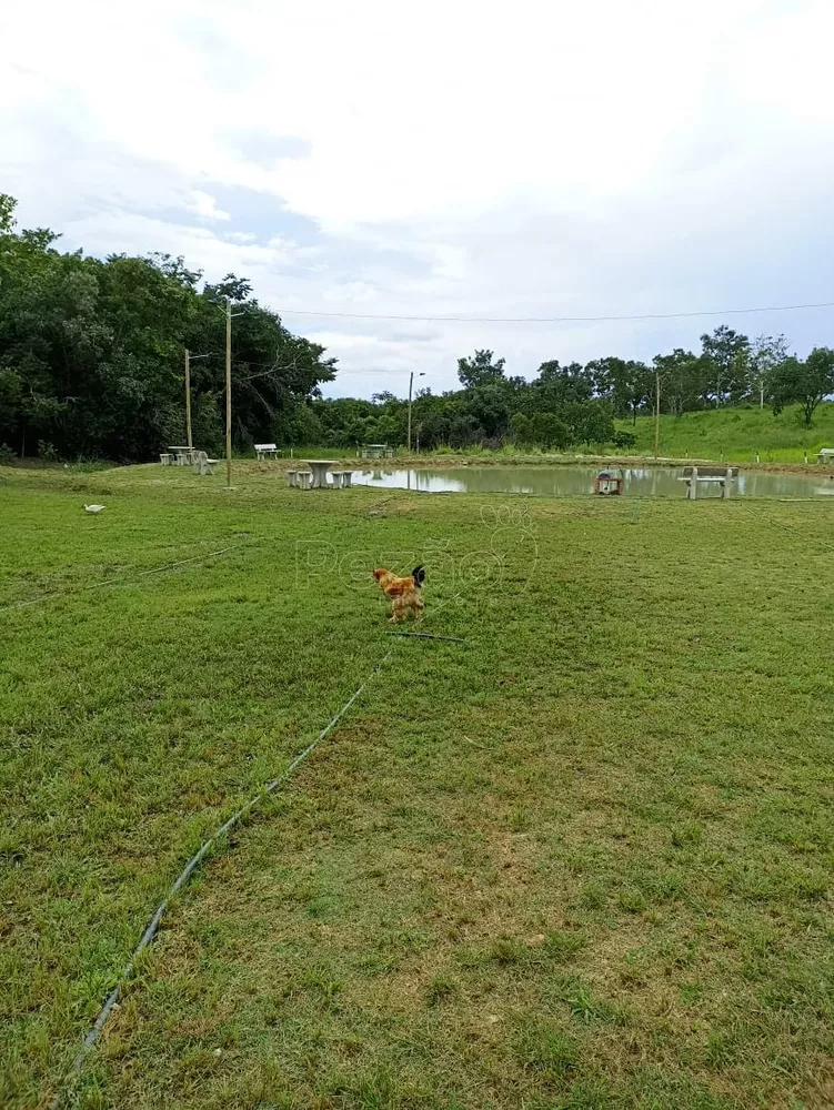 Chácara, 4 quartos - Foto 1