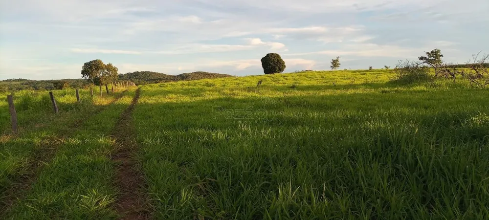 Chácara - Foto 7