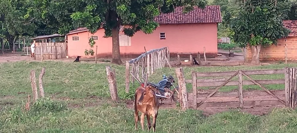 Chácara - Foto 2
