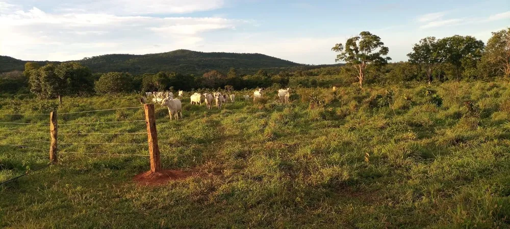 Chácara - Foto 5