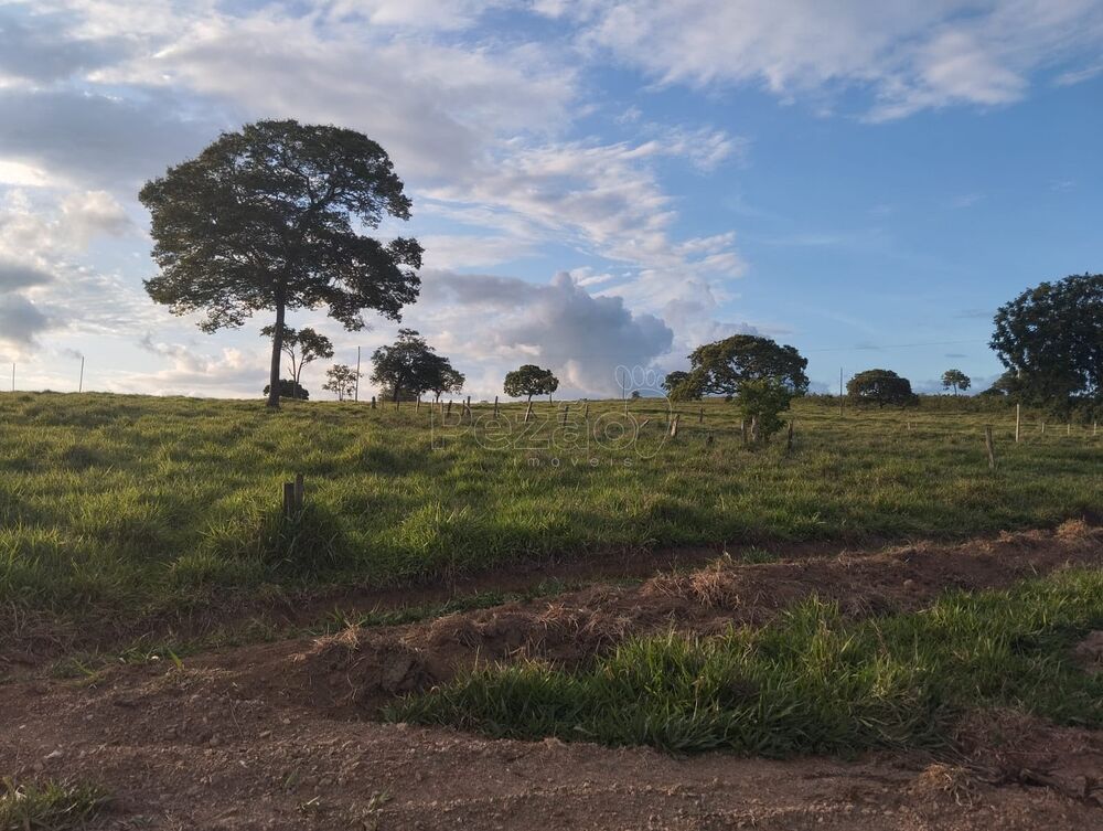 Fazenda, 4 quartos - Foto 2
