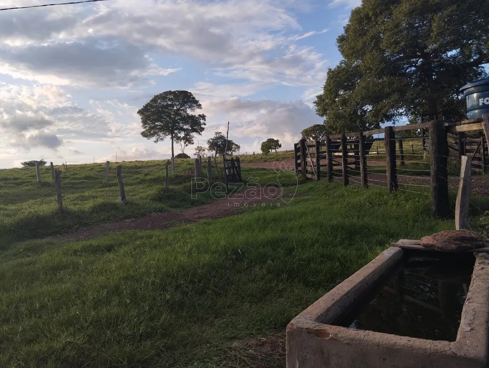Fazenda, 4 quartos - Foto 3