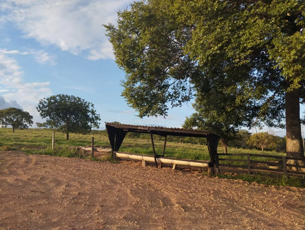 Fazenda, 4 quartos - Foto 17