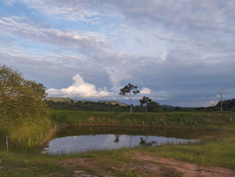 Fazenda, 4 quartos - Foto 1