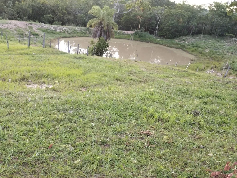 Fazenda, 4 quartos - Foto 6