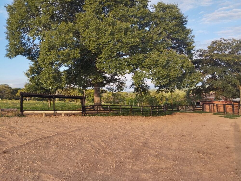 Fazenda, 4 quartos - Foto 8