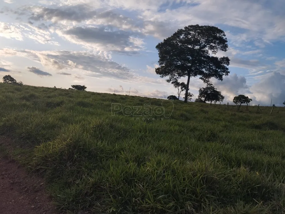 Fazenda, 4 quartos - Foto 6