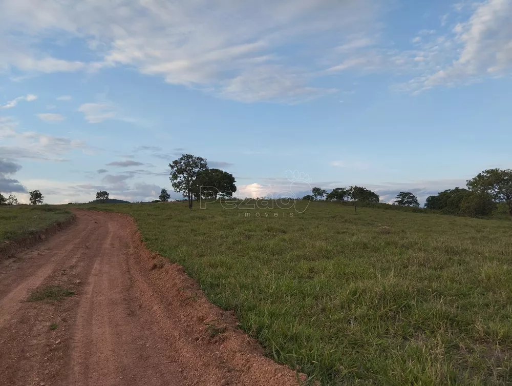 Fazenda, 4 quartos - Foto 5